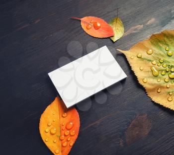 Blank business card and autumn leaves on wood table background.