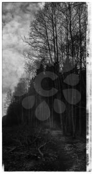 Vertical black and white cyberpunk radiated forest postcard background