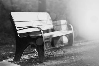Horizontal black and white sunset park bench in light bokeh background