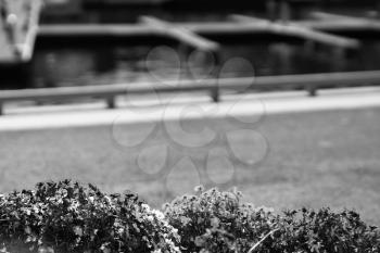 Black and white quay flowers on ship parking backdrop hd