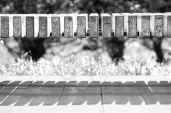 Horizontal black and white park bench bokeh background