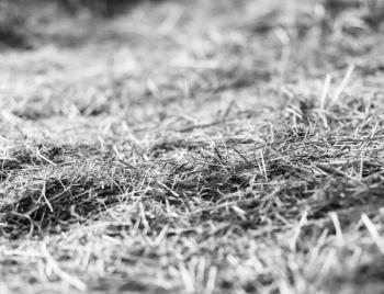 Horizontal black and white hay stable bokeh background backdrop