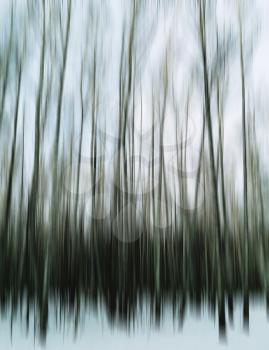 Vertical motion blur trees art abstraction backdrop