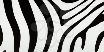 Horizontal black and white zebra texture background hd