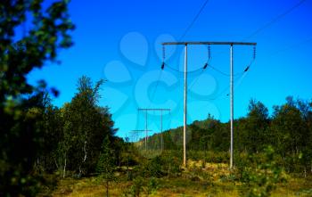 Norway power line in summer forest bokeh background hd