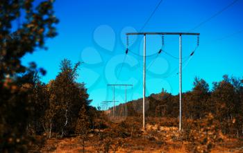 Norway power line in autumn forest bokeh background hd