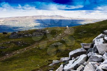 Norway mountain sheep landscape background hd