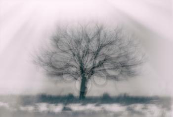 Dramatic single lone tree bokeh background