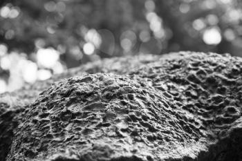 Horizontal black and white ground park texture background hd