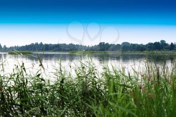 Classic Russian river bank landscape background hd