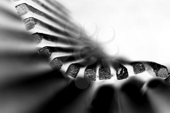 Black and white dramatic bench bokeh background hd