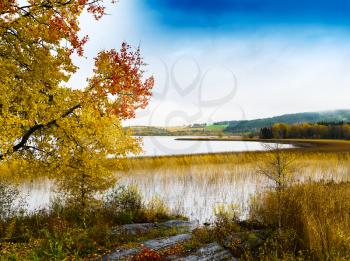 Horizontal autumn landscape in Norway background