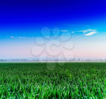 Horizontal vivid fresh green meadow with dramatic clouds background backdrop