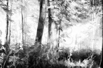 Horizontal black and white forest illustration background hd
