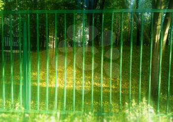Green park fence sun rays background