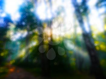 Horizontal dramatic sun rays in forest bokeh background