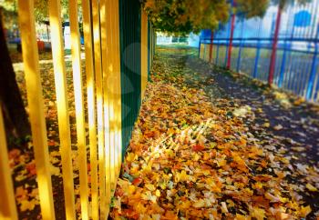 Yellow autumn fence with light leak background