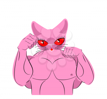 Cat fighter. Fighting stand. Athlete animal with his fists. Pet bodybuilder fights. Vetokr illustration for Sports Club - Pink strong cats
