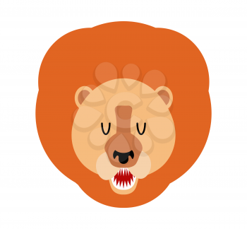 Lion muzzle isolated. Leo face. Savannah wild animal with mane. Predator Africa. head of Beast. king of beasts

