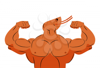 Strong athlete shrimp. Fitness marine animal athlete with huge muscles. Bodybuilder plankton. Sports team mascot
