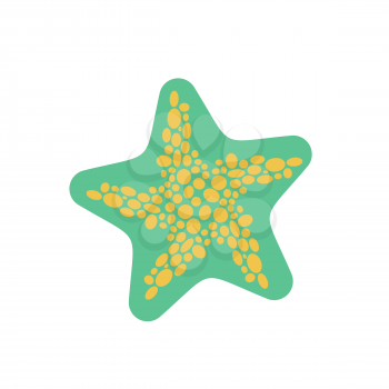 Starfish isolated. Sea animals on white background. aquatic mollusk star
