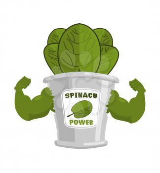 Strong spinach tin. Powerful herbs for muscle growth. Bank bodybuilder salad
