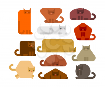 Geometric cat set. Square and round cats. Triangular and hexagonal pet. Pentagonal and rectangular kitten