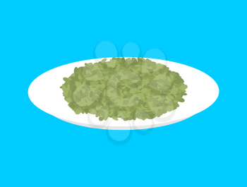 Green Lentil cereal in plate isolated. Healthy food for breakfast. Vector illustration
