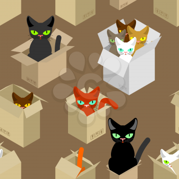 Cat in box pattern. Pet in cardboard box background. vector texture
