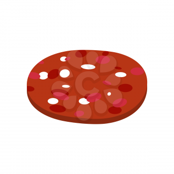 Piece of sausage isolated. Slice of salami on white background
