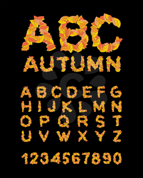 Autumn font. Yellow leaves of alphabet. autumnal ABC. Letters of fallen leaves
