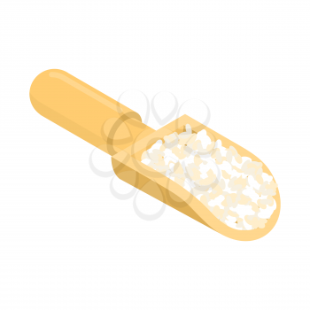 Round rice in wooden scoop isolated. Groats in wood shovel. Grain on white background. Vector illustration
