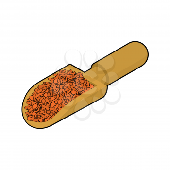 Red lentils in wooden scoop isolated. Groats in wood shovel. Grain on white background. Vector illustration
