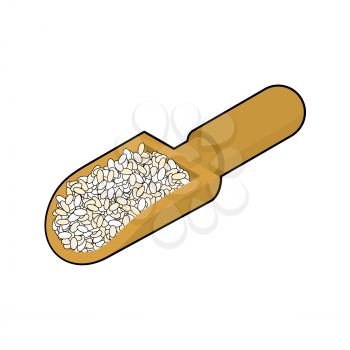 Round rice in wooden scoop isolated. Groats in wood shovel. Grain on white background. Vector illustration
