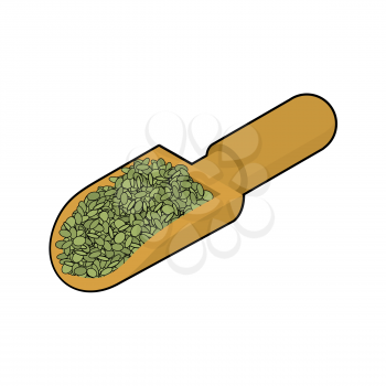 Green Lentils in wooden scoop isolated. Groats in wood shovel. Grain on white background. Vector illustration
