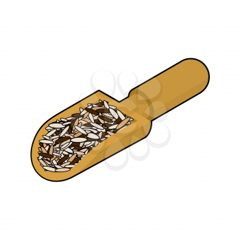 Wild rice in wooden scoop isolated. Groats in wood shovel. Grain on white background. Vector illustration

