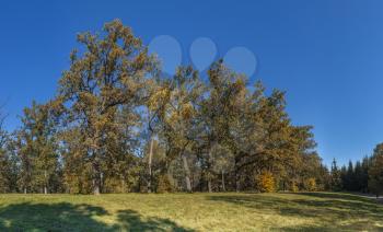 Beautiful autumn trees in Sofiyivka park in the city of Uman, Ukraine