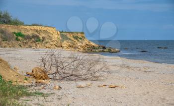 Deserted Black Sea Coast in Odessa region in Ukraine in spring