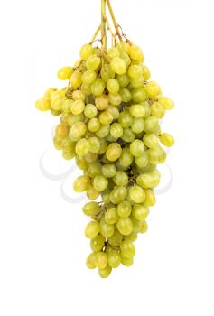  Seedless grapes isolated on white background