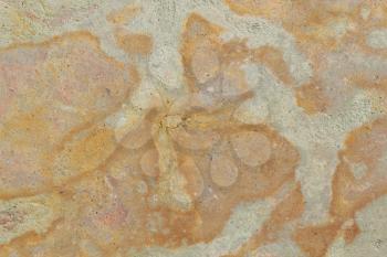 Old limestone surface  for background