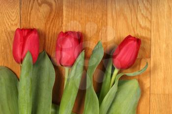 Bouquet of red tulip flowers on the oak floor