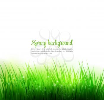 Natural green grass background. Vector illustration. EPS 10