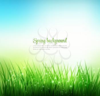 Natural spring green grass background. Vector landscape