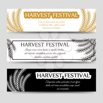 Agriculture horizontal banner set with wheat. Vector harvest festival banners
