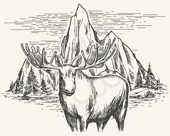 Hand drawn landscape with lake, mountains and trees and with hand drawn moose. Vector landscape
