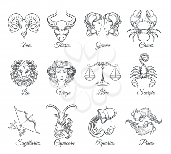 Zodiac graphic signs vector. Astrological zodiac symbols or zodiac icons