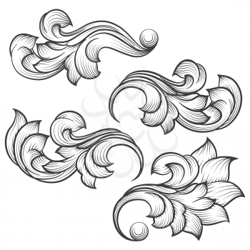Baroque engraving leaf scroll. Retro foliage ornament element vector illustration