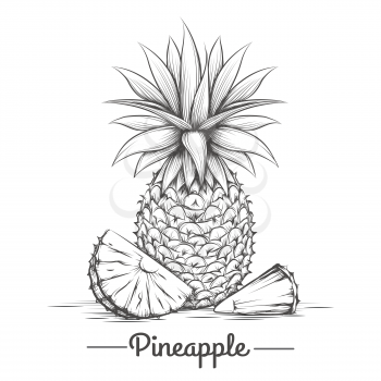 Doodle sweets pineapple. Hand drawn exotic dessert eating. Vector illustration