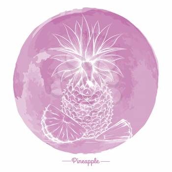 Hand drawn pineapple on watercolor pink cirlce backdrop vector