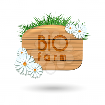 Wood panel banner with camomile flowers and grass isolated on white. Vector illustration